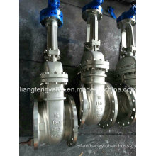 CF3 150lb Flange End Gate Valve with Stainless Steel RF